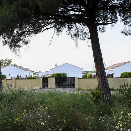 Villas Perez Zara Conil De La Frontera Eksteriør billede